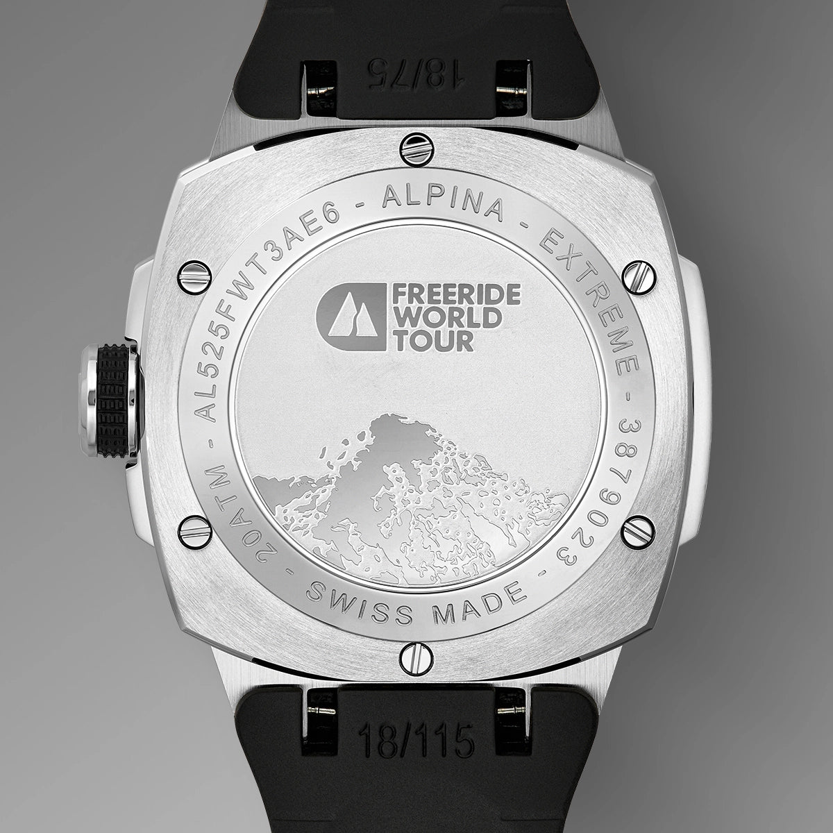 Designed for the Extreme: Robustness and Alpine Details