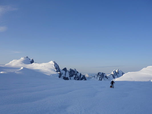 DAY 12 19/05/2015 FIRST ATTEMPT TO GREAT GLACIER, ABORTED.